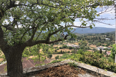 Marandohori Traditional Charm 002!.jpg